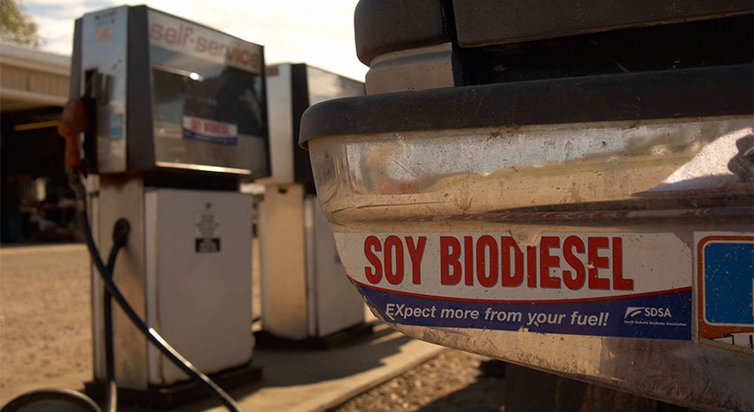 gmn - What is Biodiesel? Things you need to Understand Right now